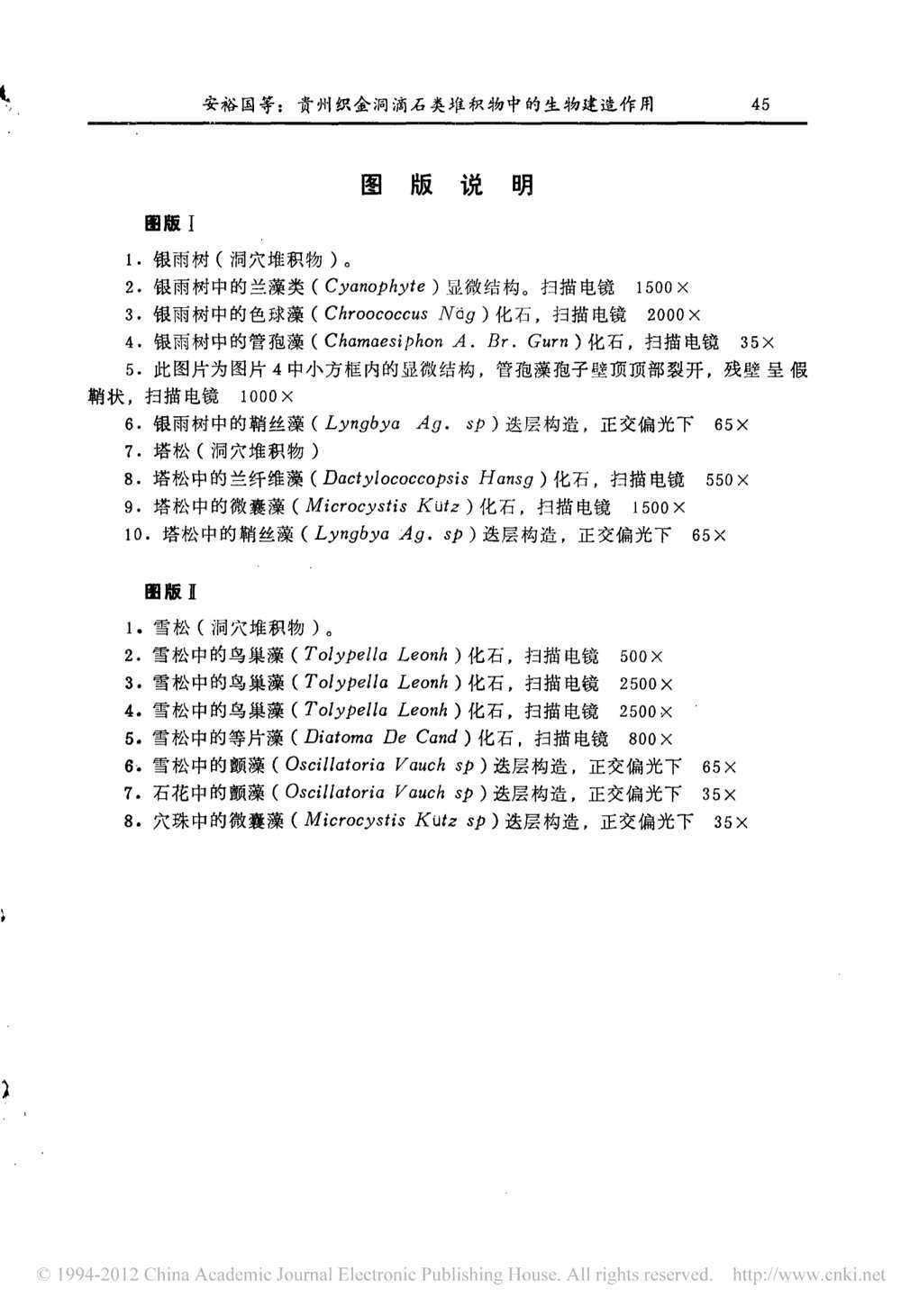 162791f46bbed5b1a15327865c15b331.jpg