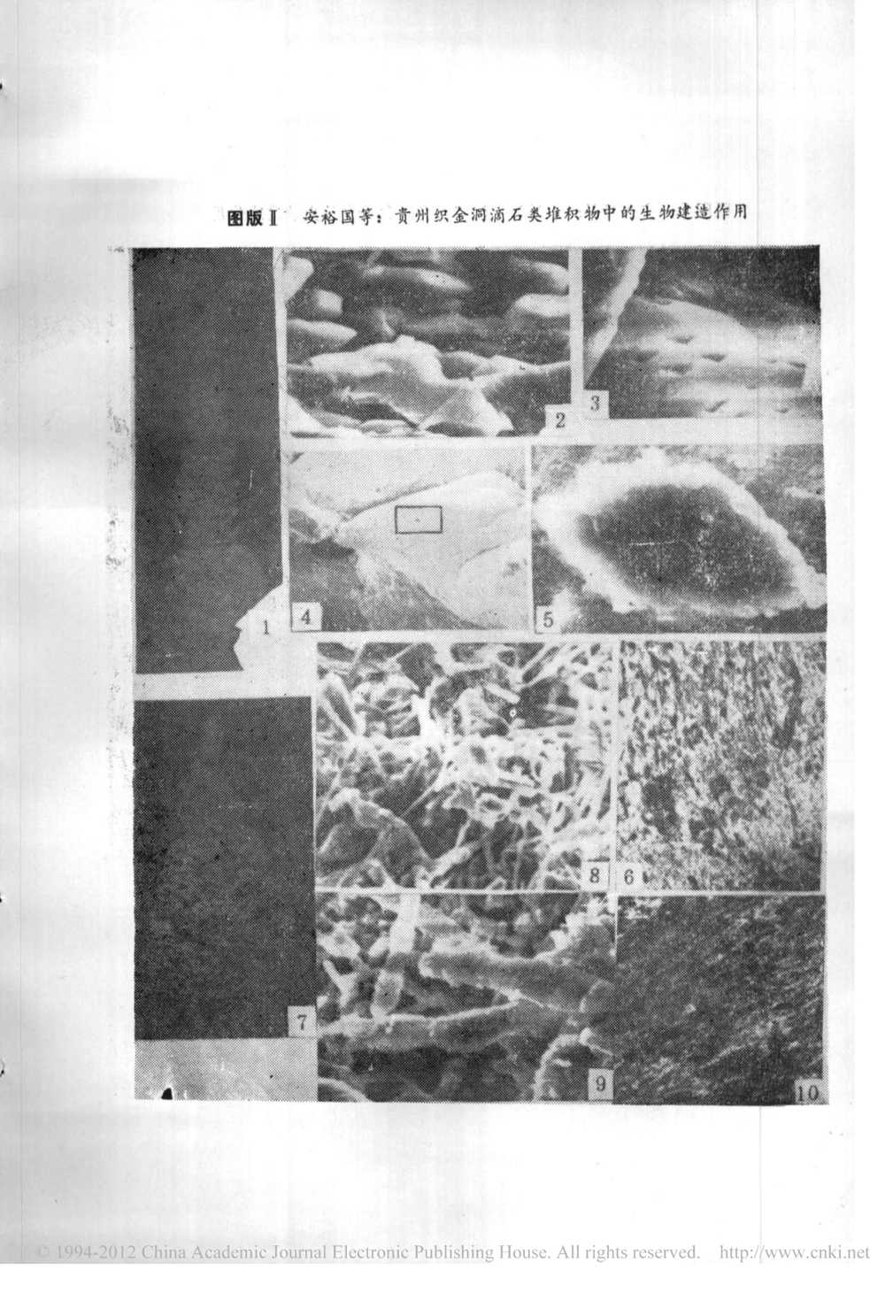 a046d93aea1f5c15e605f0554b7ad848.jpg
