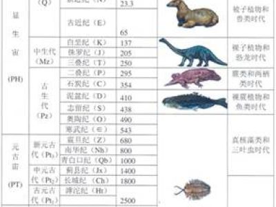 Law of Faunal Assemblages
