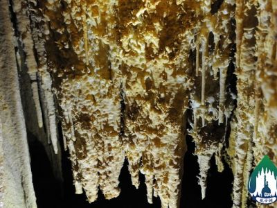 22-81-Free growth (Helictite)