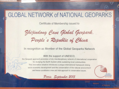 我们的十年——织金洞世界地质公园大事记