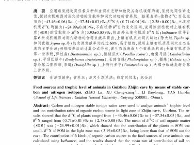 造化自然__地下天宫——织金洞世界地质公园_刘家仁