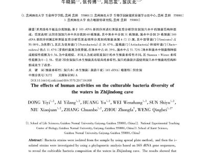 人类活动对织金洞洞穴水中可培养细菌多样性的影响_董乙乂 (1)