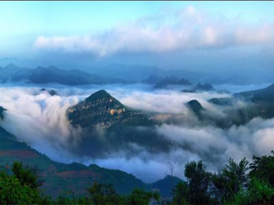 Morning Fog