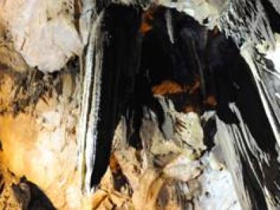 16-2-1-Features of stalactites in Zhijindong Cave
