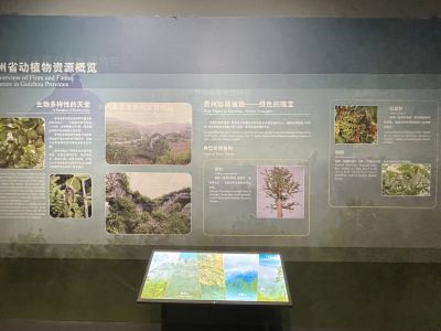 动植物资源概览