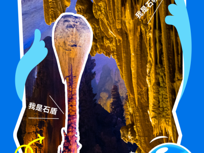 洞里的&ldquo;窗帘&rdquo;和&ldquo;盾牌&rdquo;？&mdash;&mdash;&ldquo;小水&rdquo;的柔软艺术