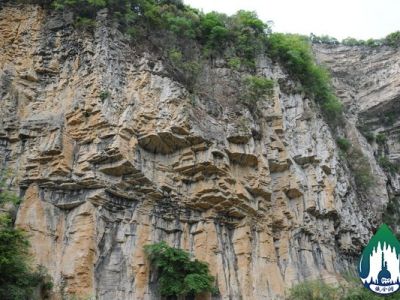 37-Stratigraphic section of Dacaokou