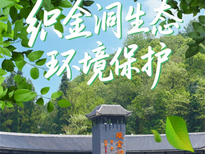 保护织金洞生态环境，开启绿动未来新征程