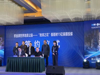 15亿保额为地球之花“银雨树”保驾护航  织金洞开启自然遗产守护新篇章！