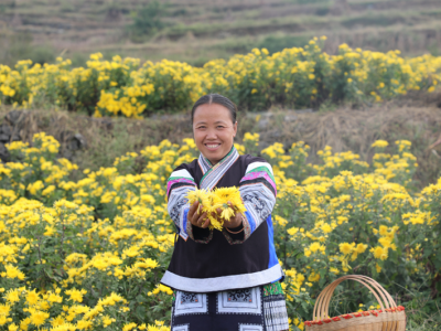  Zhijindong Cave Global Geopark has driven the development of rural tourism in the surrounding communities