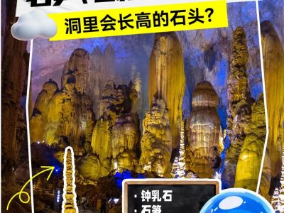 洞里会长高的石头？—— “小水”家的石笋、石柱和钟乳石