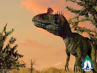 Regional Geological Evolution Process Briefly