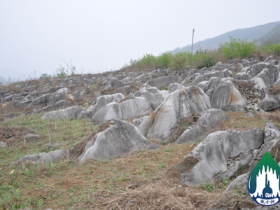 溶沟和石芽