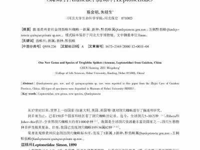 贵州织金洞真洞穴蜘蛛一新属一新种_蜘蛛目A_省略_neae_弱蛛科Leptone