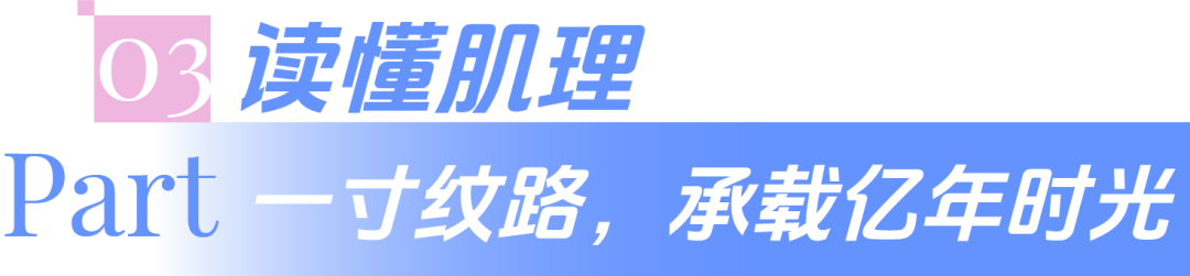 640 (2).png