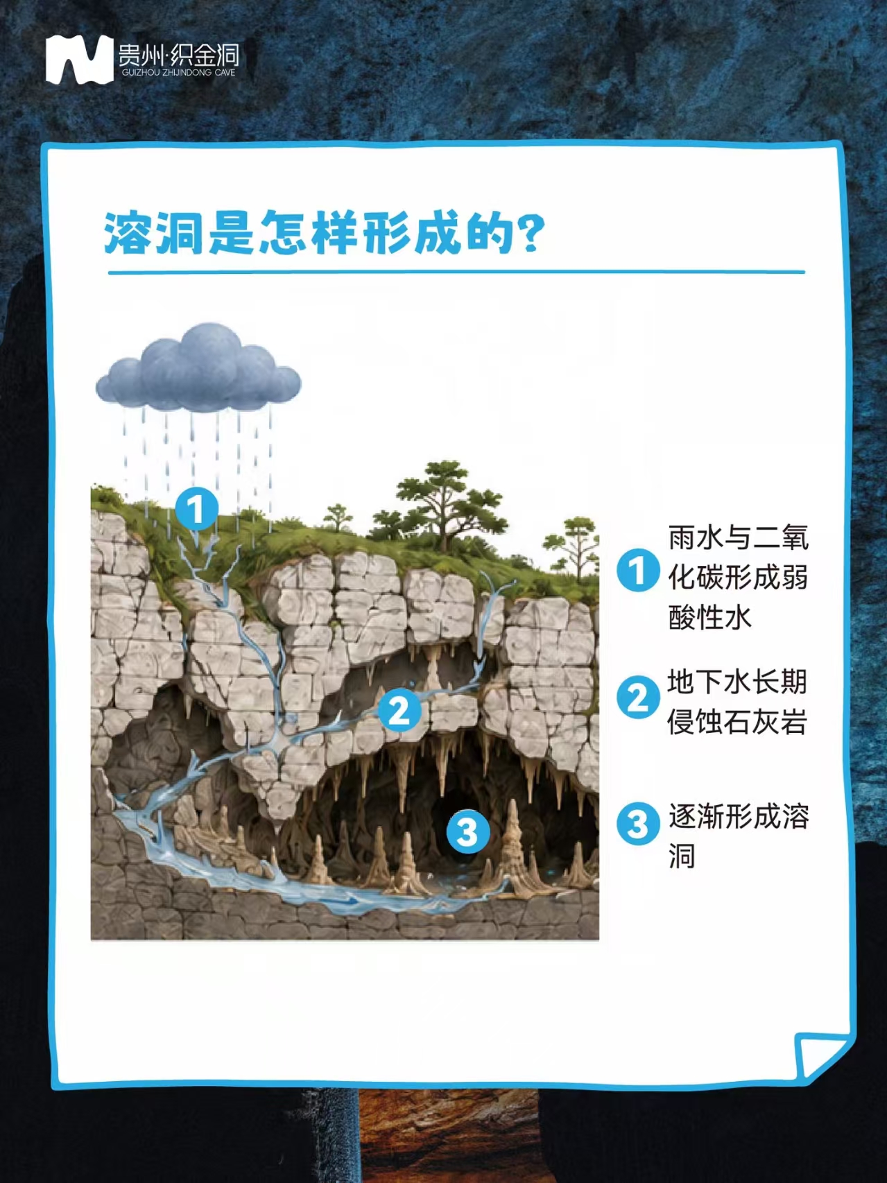 58387ff1548d4fbb808e0e1cc595853.jpg