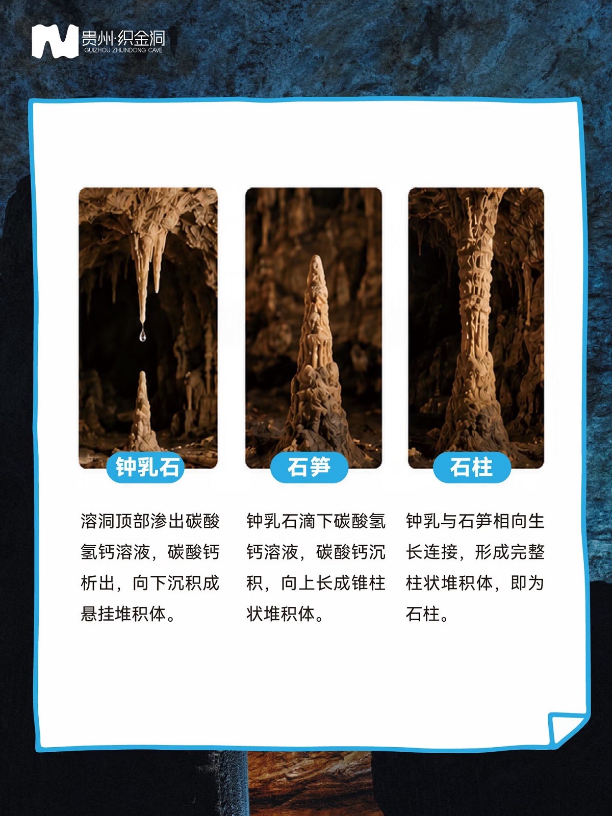 9349f585d91998609bf38f03025a6c9.jpg