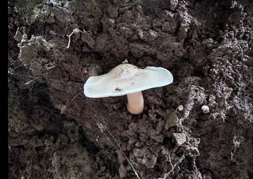 人在石头上 AI 生成的内容可能不正确。