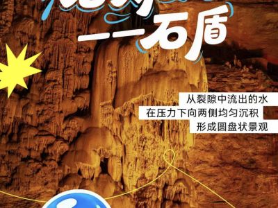 洞里的&ldquo;窗帘&rdquo;和&ldquo;盾牌&rdquo;？&mdash;&mdash;&ldquo;小水&rdquo;的柔软艺术