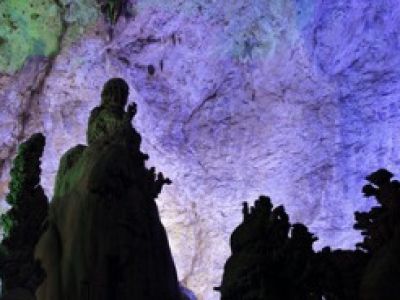 关于提供织金洞景区意外保险服务的通知